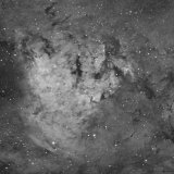 NGC7822 Ha, wide